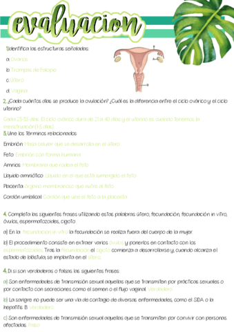 Ficha-10.pdf