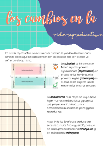 ficha-2.pdf