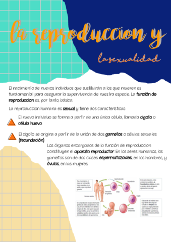 ficha-1.pdf