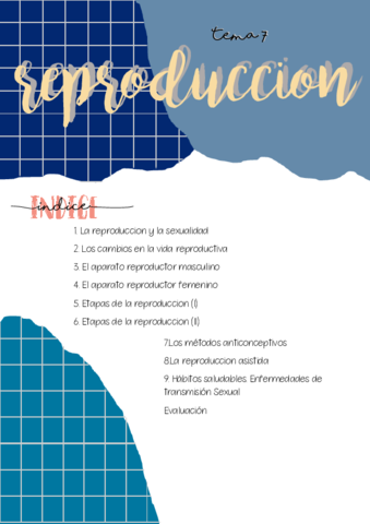 indice.pdf