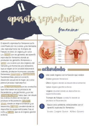 ficha-4.pdf
