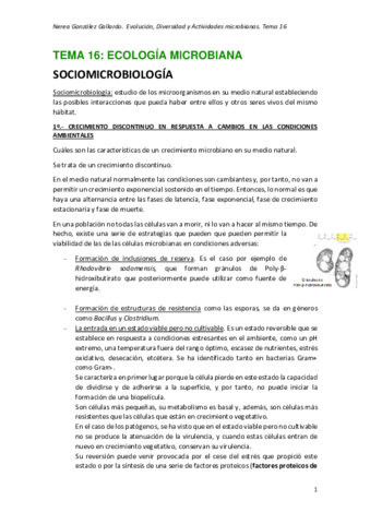 TEMA-16-MICRO-II.pdf