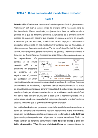 Apuntes-segundo-parcial.pdf