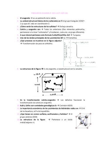PREGUNTAS-EXAMEN-TEMAS-10111213.pdf