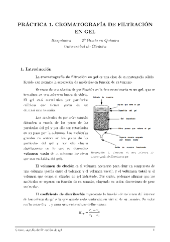 BQ-PRACTICA-1-Cromatografia.pdf