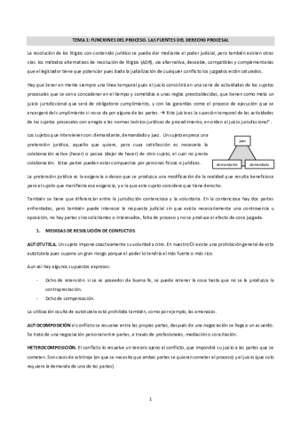 PROCESAL-I-primer-parcial.pdf