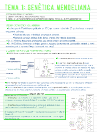 Apuntes-Genetica-1.pdf