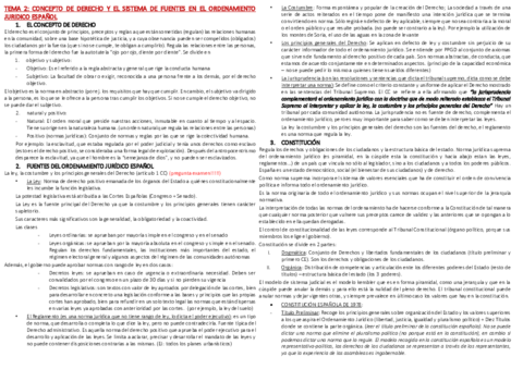 TEMA-2.pdf