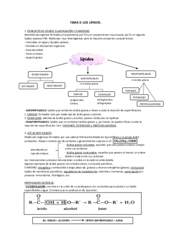 TEMA-3.pdf