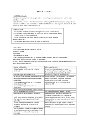 TEMA-7.pdf
