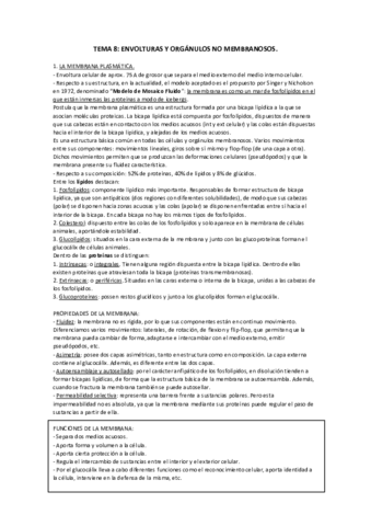TEMA-8.pdf