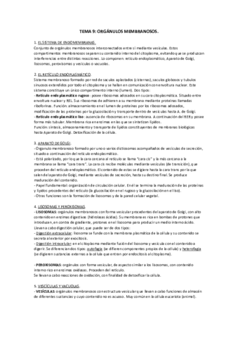 TEMA-9.pdf