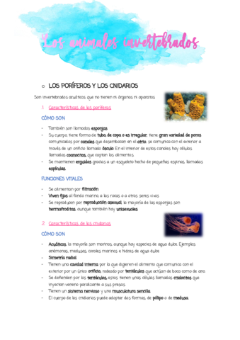 Resumen-LOS-INVERTEBRADOS.pdf