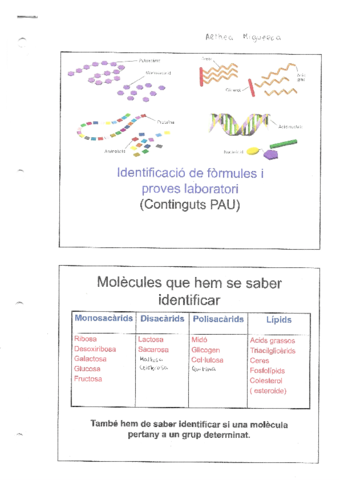 PWP-Repas-biomolecules.pdf