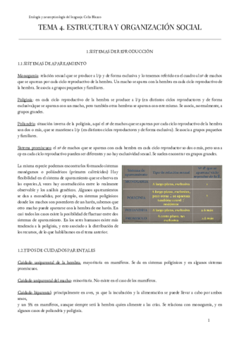 Tema-4-Estructura-y-organizacion-social.pdf
