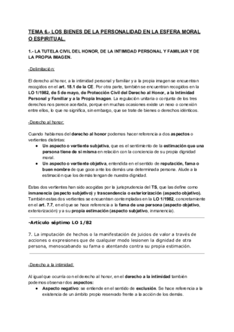 TEMA-6.pdf