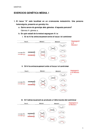 EXERCICIS-GENETICA-MODUL-I.pdf