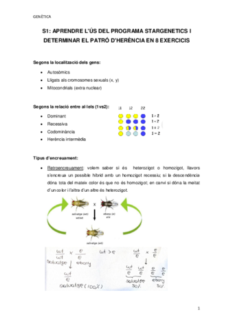 SEMINARI-1.pdf