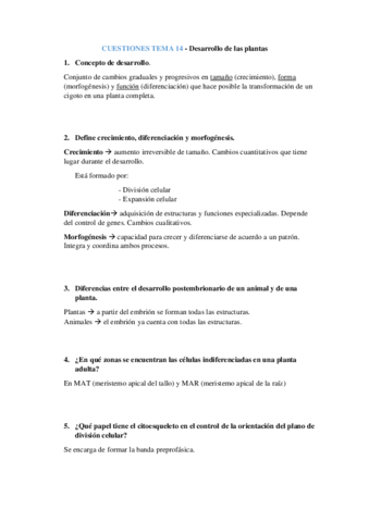 Cuestiones-F.pdf