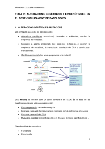 TEMA-2.pdf