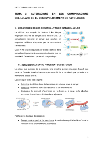 TEMA-3.pdf