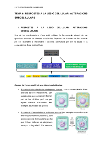 TEMA-6.pdf