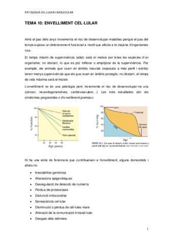 TEMA-10.pdf