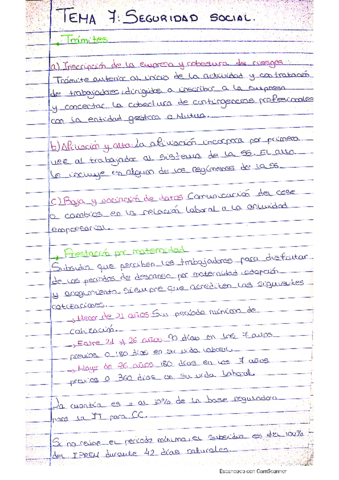 Tema-7-Seguridade-Social.pdf