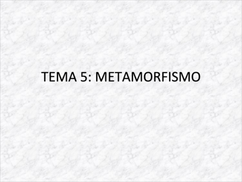 Metamorfismo.pdf