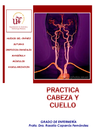 2-Laminas-Mudas-Cabeza-y-Cuello.pdf