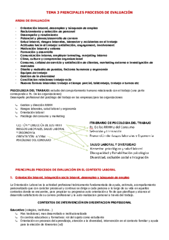 T3-PRINCIPALES-PROCESOS-DE-EVALUACION.pdf