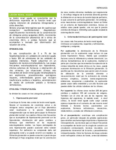 Lesion-renal-aguda.pdf