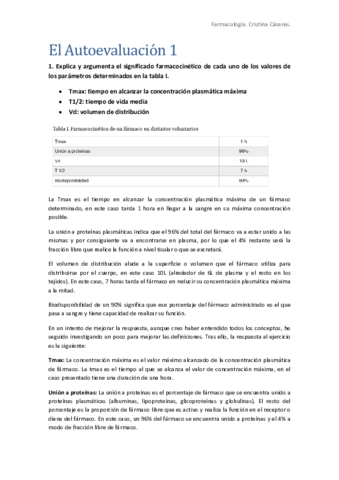 AUTOEVALUACION1. Cristina Caceres.pdf