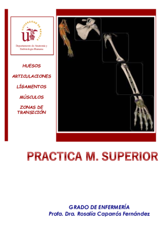 3-Laminas-Mudas-Miembro-Superior.pdf