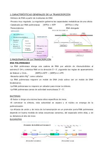 tema-9-y-10-bioq.pdf
