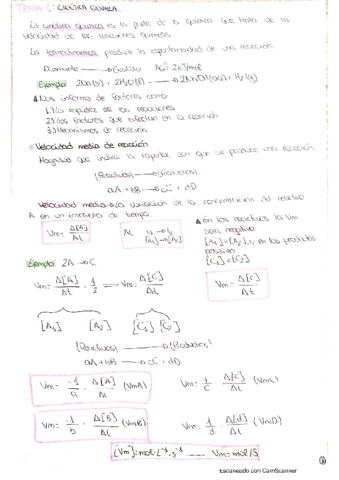 Cinetica-quimica.pdf