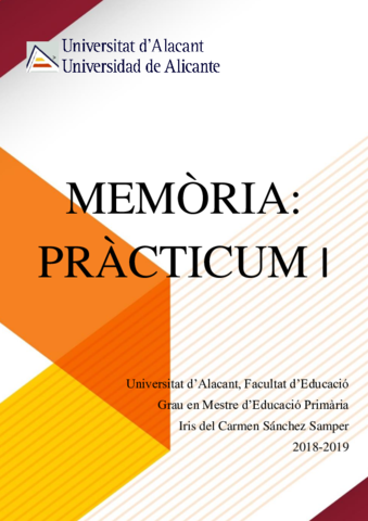 MEMORIA-PRACTICUM-1.pdf