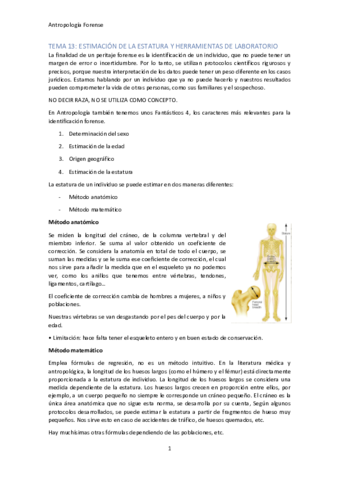 TEMA-13.pdf