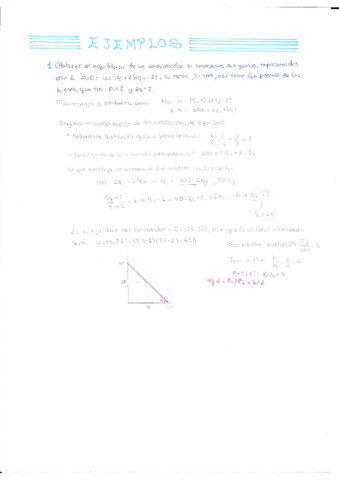 Tema-4-Ejemplos.pdf