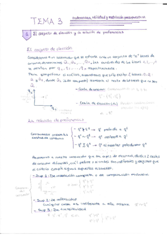 Tema-3-Teoria.pdf