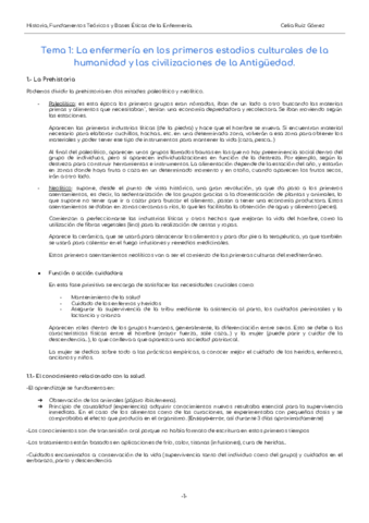 Tema 1pdf