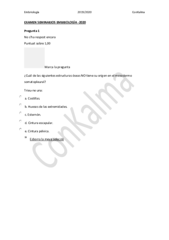 EXAMEN-SEMINARIOS-EMBRIOLOGIA-2020.pdf