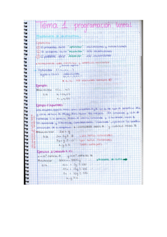 Program-lineal-y-problemas.pdf