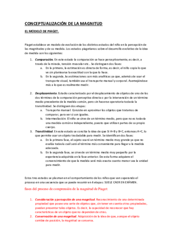 CONCEPTUALIZACION-DE-LA-MAGNITUD.pdf