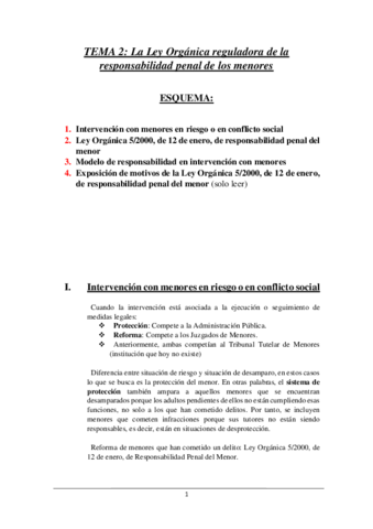 TEMA-2.pdf