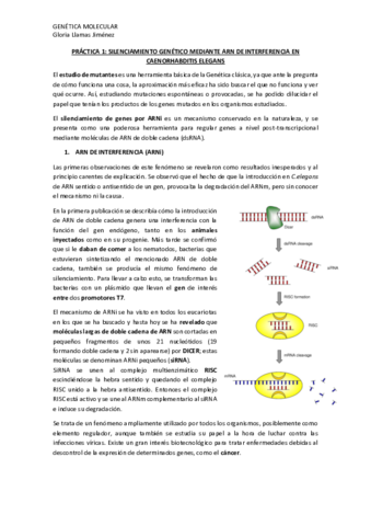 PRACTICA-1-SILENCIAMIENTO-GENETICO-MEDIANTE-ARN-DE-INTERFERENCIA-EN-CAENORHABDITIS-ELEGANS.pdf