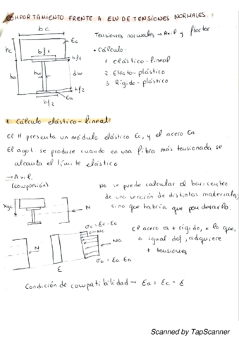 EstructMixtas.pdf