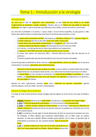 Tema 1.pdf