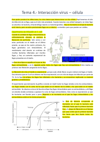 Tema 4.pdf