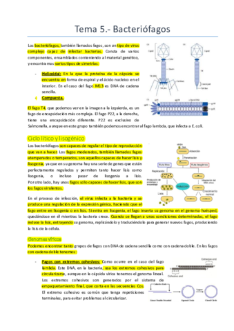 Tema 5.pdf